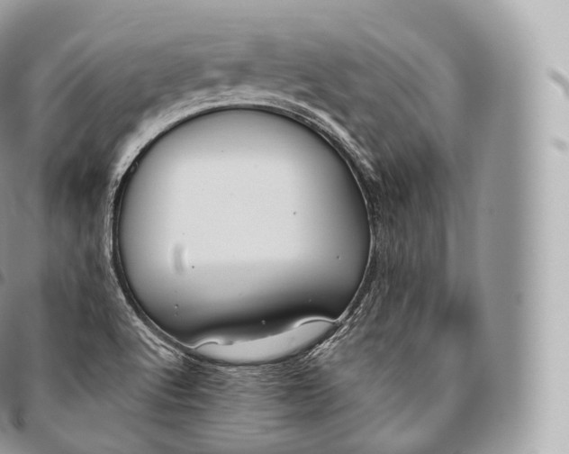 X0000096481512200802141709