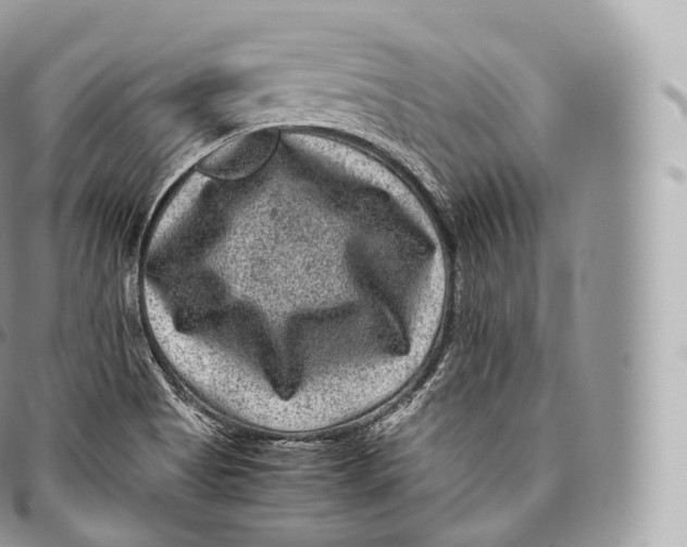 X0000096481513200802141709