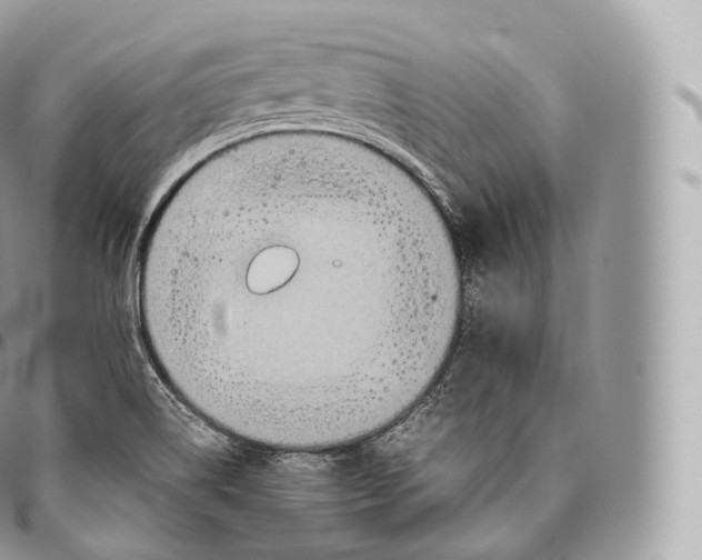 X0000096481514200802141709