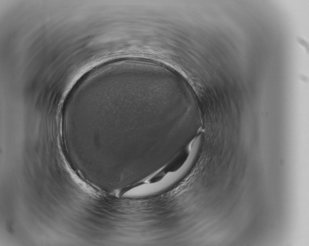 X0000096481515200802141709