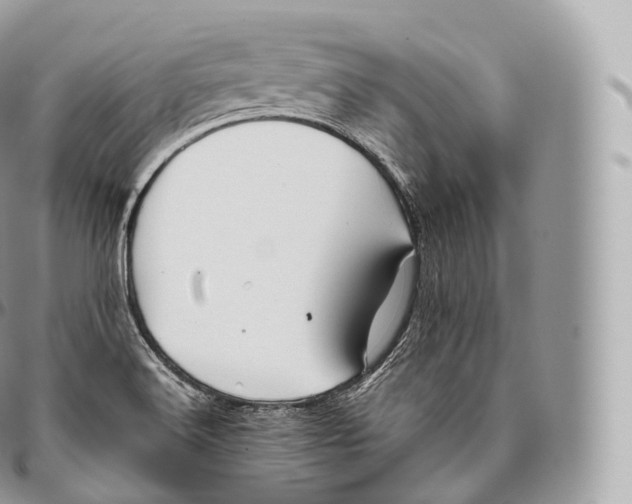 X0000096481516200802141709