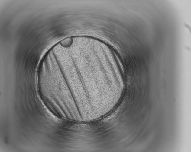 X0000096481517200802141709