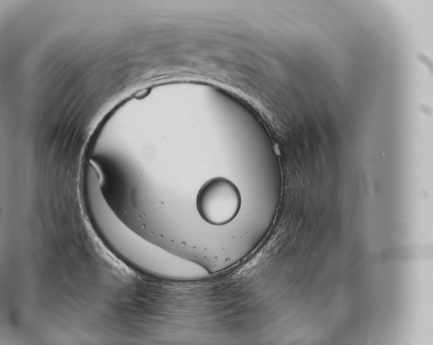 X0000096481518200802141709