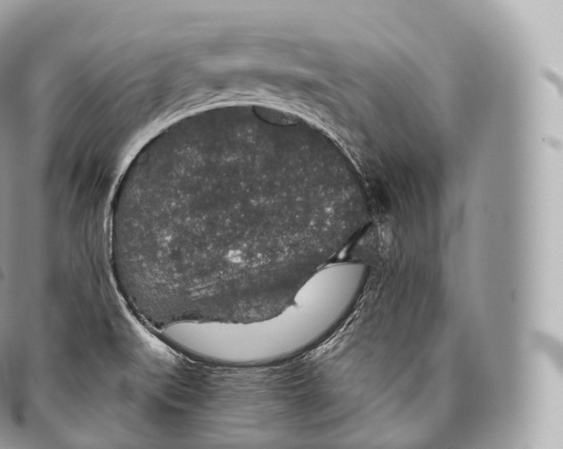 X0000096481519200802141709