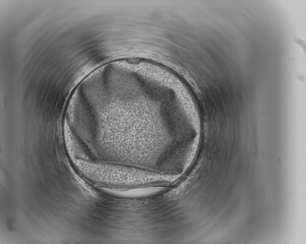 X0000096481521200802141709