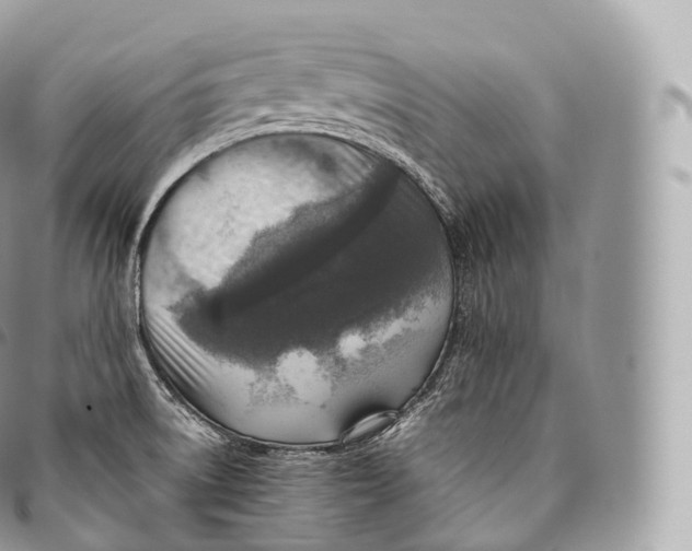 X0000096481522200802141709