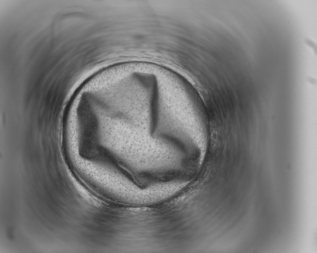 X0000096481523200802141709