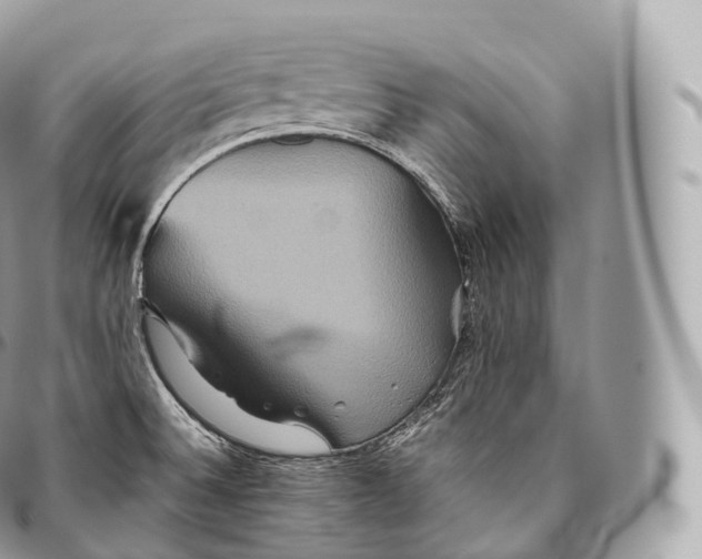 X0000096481524200802141709