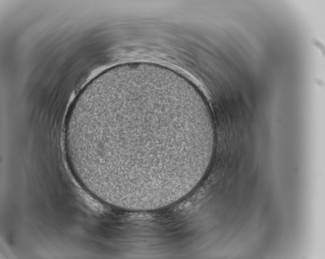 X0000096481525200802141709