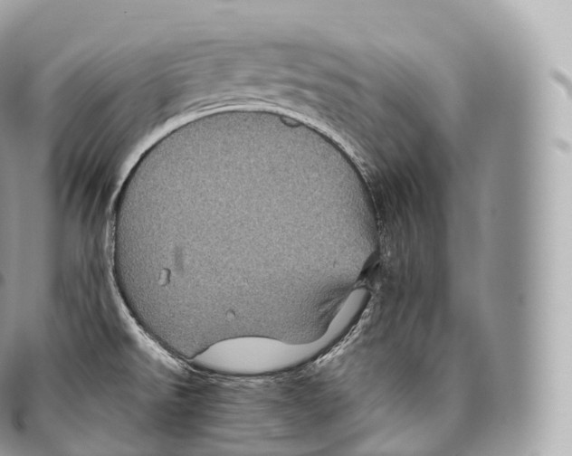 X0000096481526200802141709