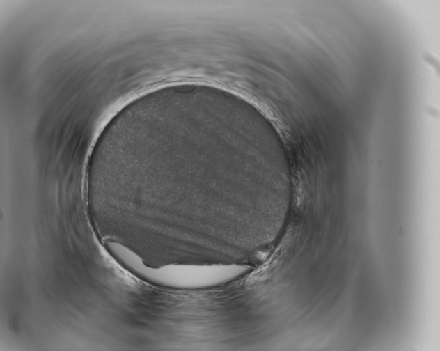 X0000096481527200802141709