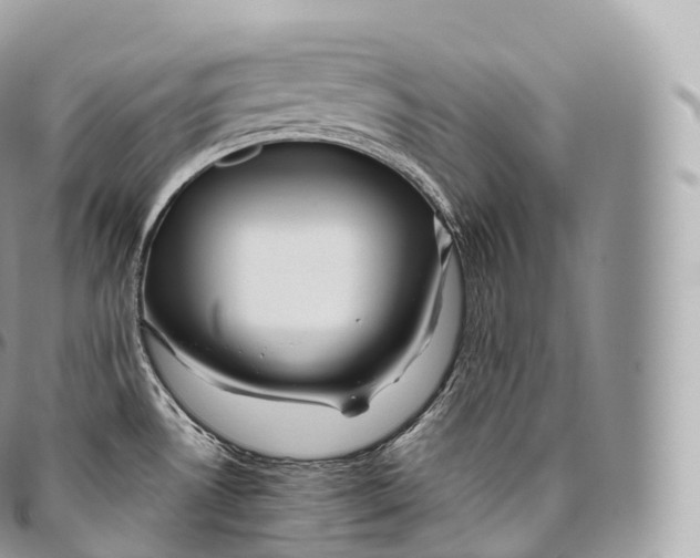 X0000096481530200802141709