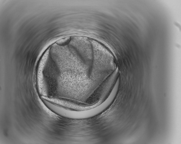 X0000096481531200802141709