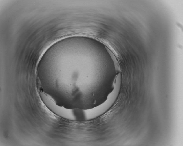 X0000096481532200802141709