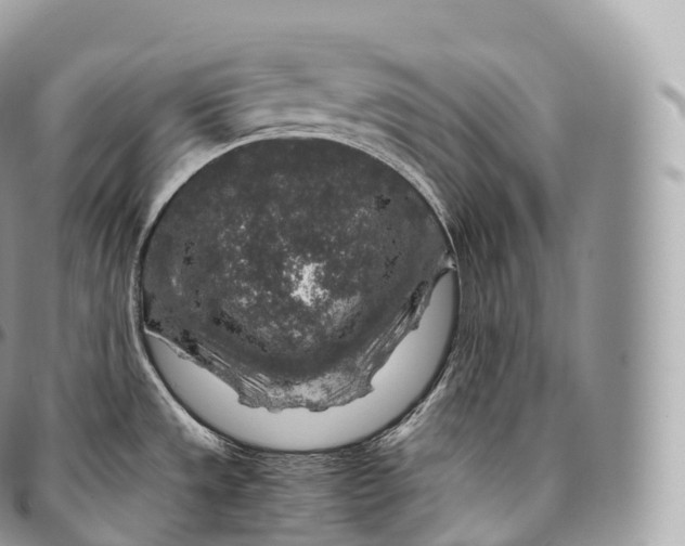 X0000096481533200802141709