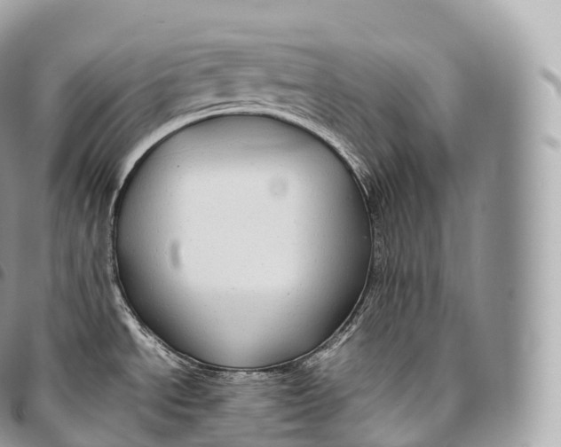 X0000096481534200802141709