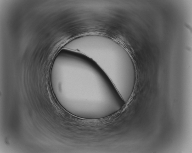 X0000096480001200802211225