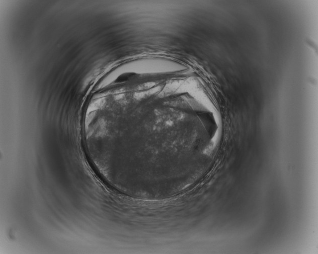 X0000096480002200802211225