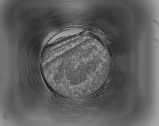 X0000096480003200802211225