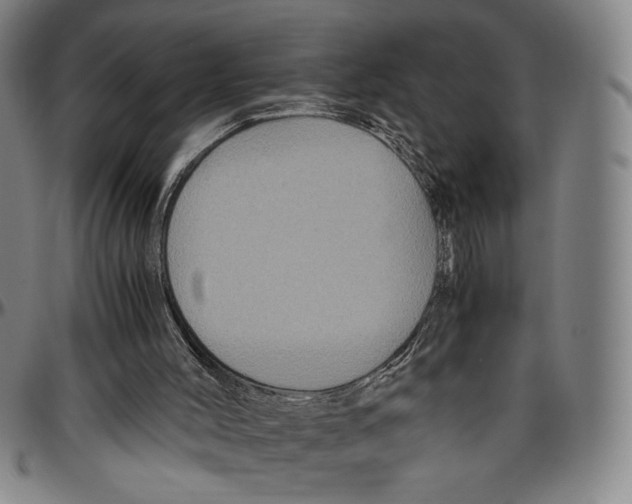 X0000096480004200802211225