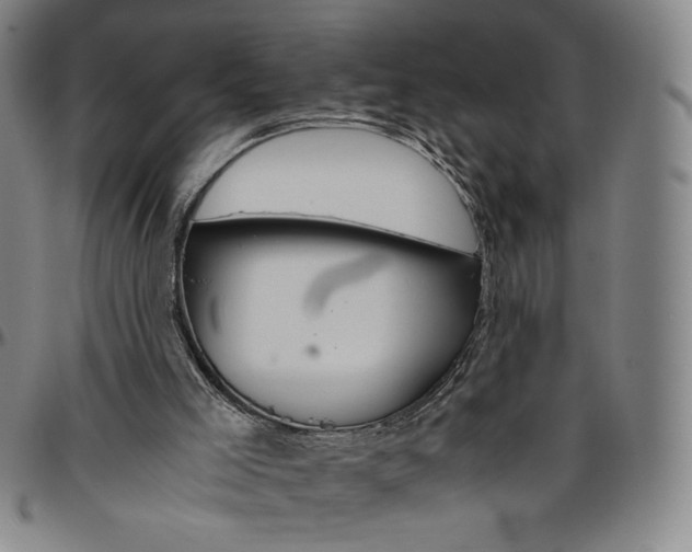 X0000096480005200802211225