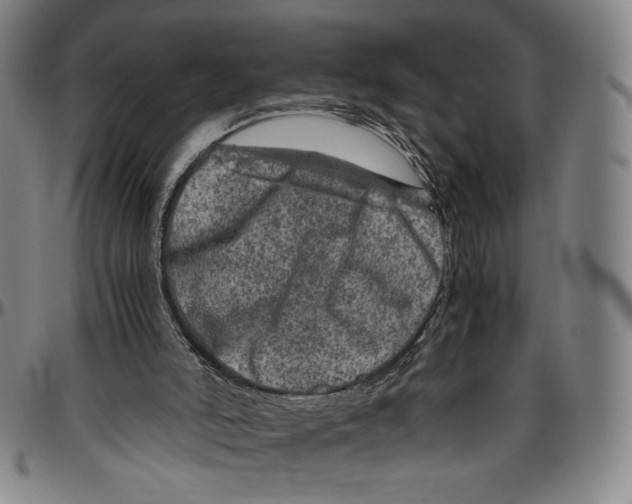 X0000096480006200802211225