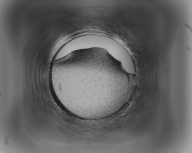 X0000096480007200802211225