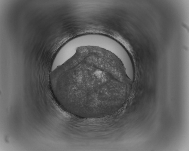 X0000096480009200802211225