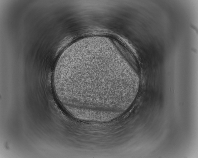 X0000096480010200802211225