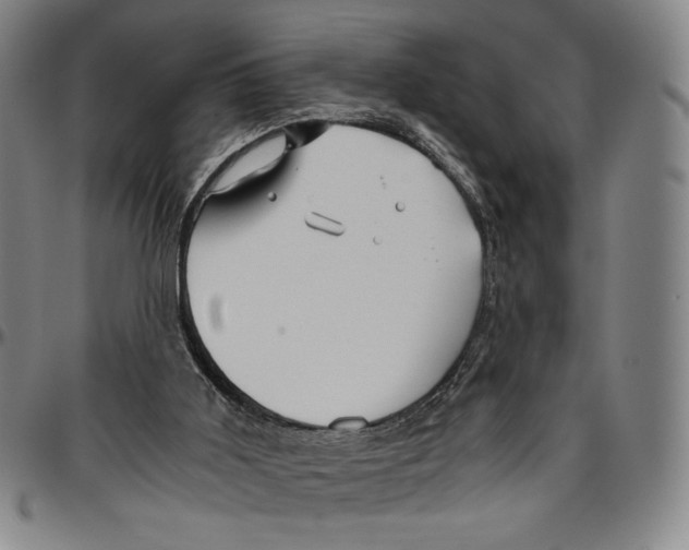 X0000096480011200802211225