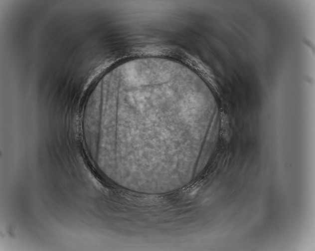 X0000096480012200802211225