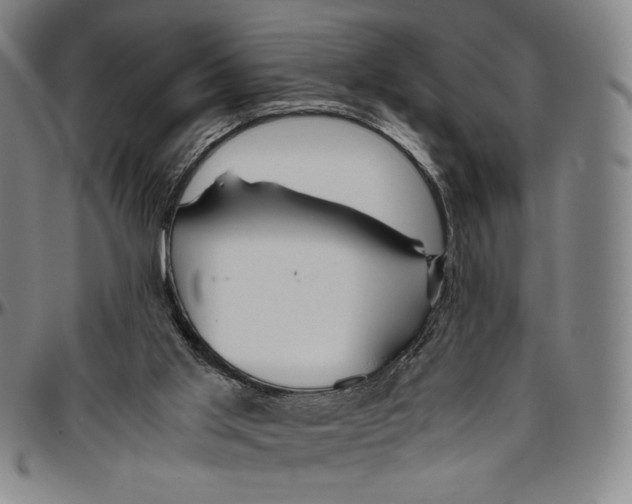 X0000096480013200802211225