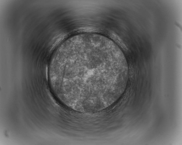 X0000096480014200802211225