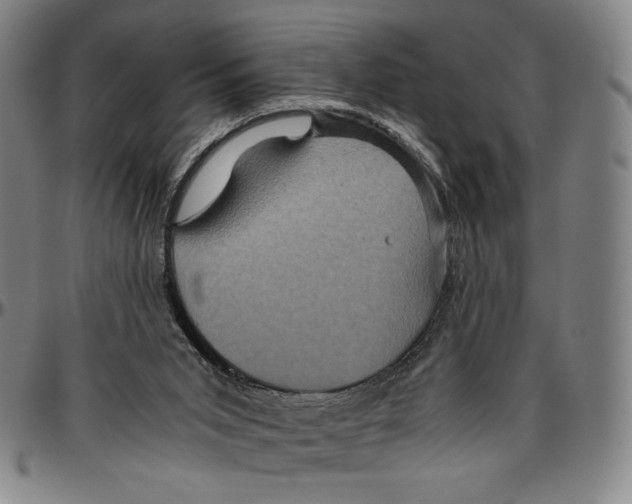 X0000096480015200802211225