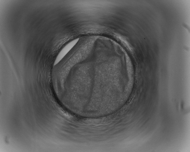 X0000096480017200802211225