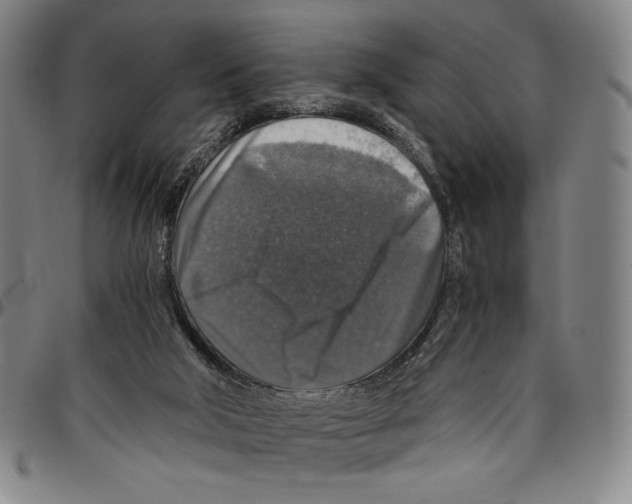X0000096480018200802211225