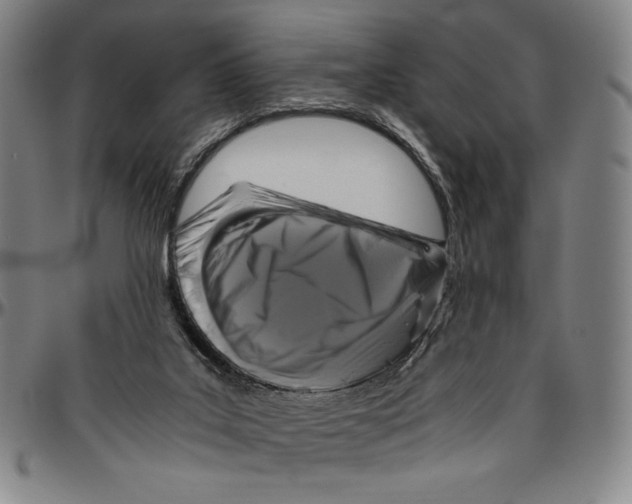 X0000096480019200802211225