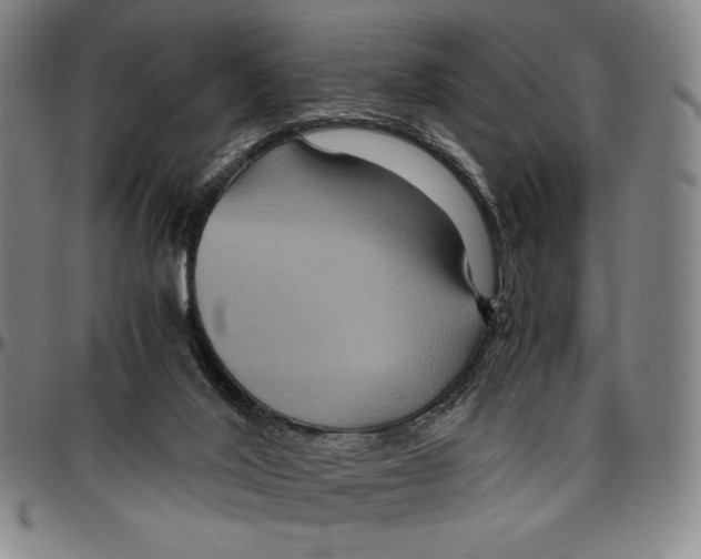X0000096480020200802211225