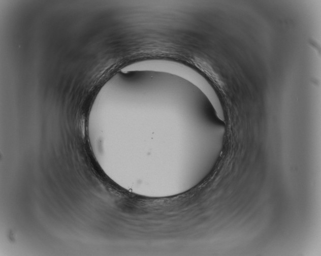 X0000096480021200802211225
