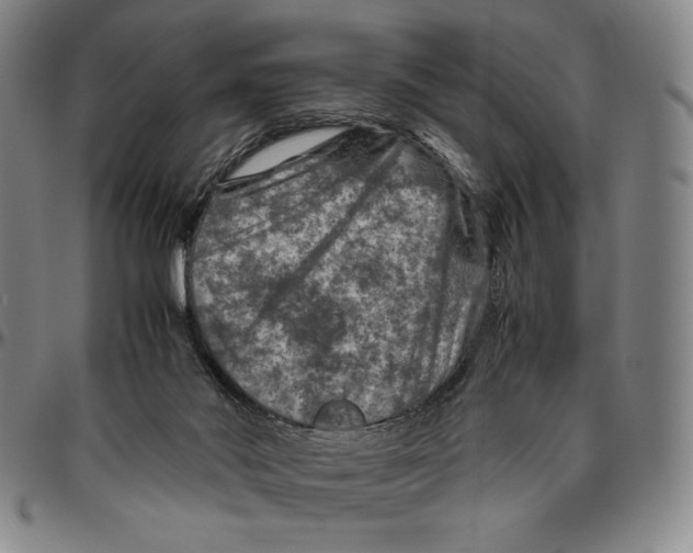 X0000096480022200802211225