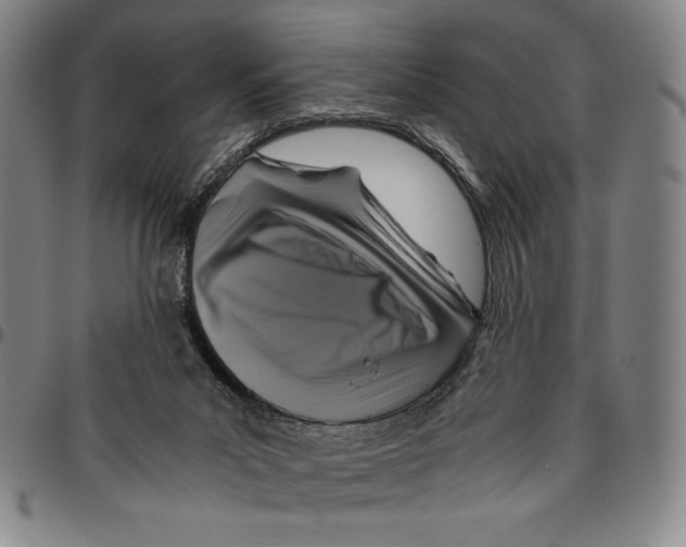 X0000096480023200802211225