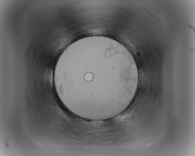 X0000096480024200802211225