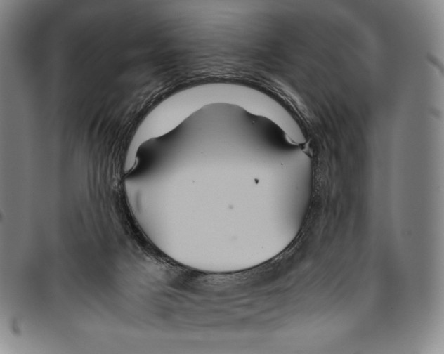 X0000096480025200802211225