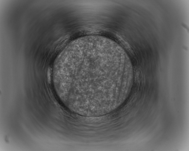 X0000096480026200802211225