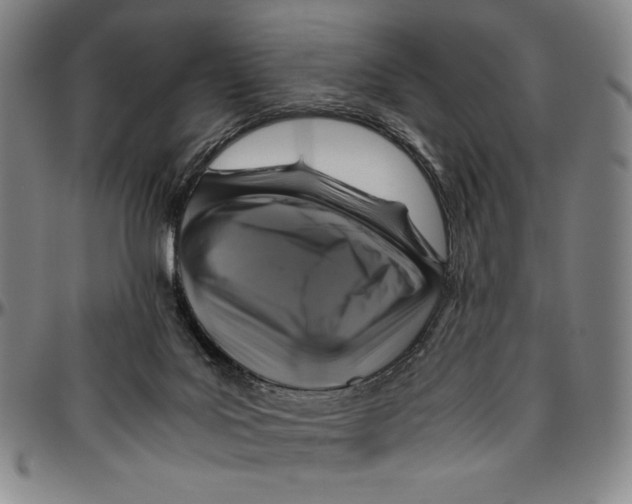 X0000096480027200802211225