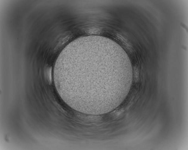 X0000096480028200802211225