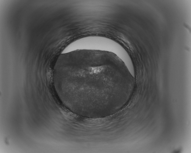 X0000096480029200802211225