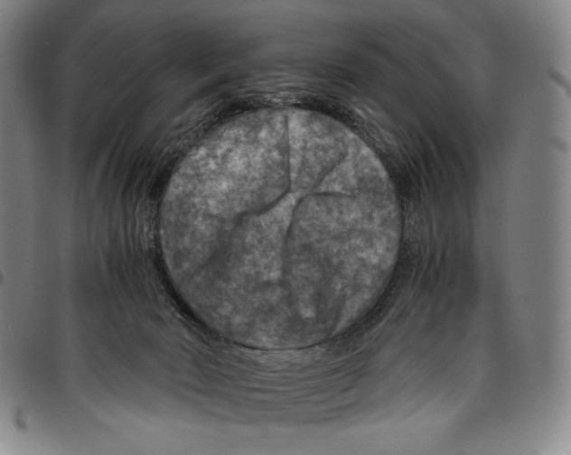 X0000096480030200802211225