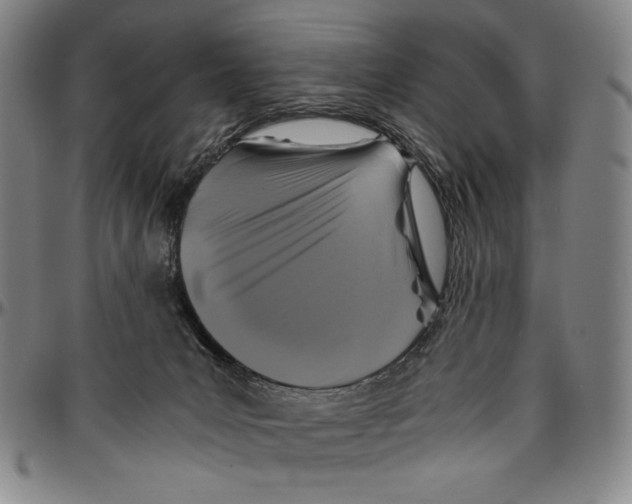 X0000096480031200802211225
