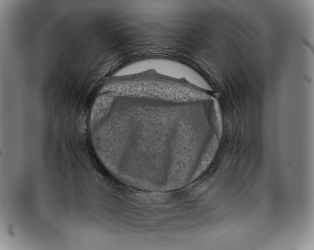 X0000096480032200802211225